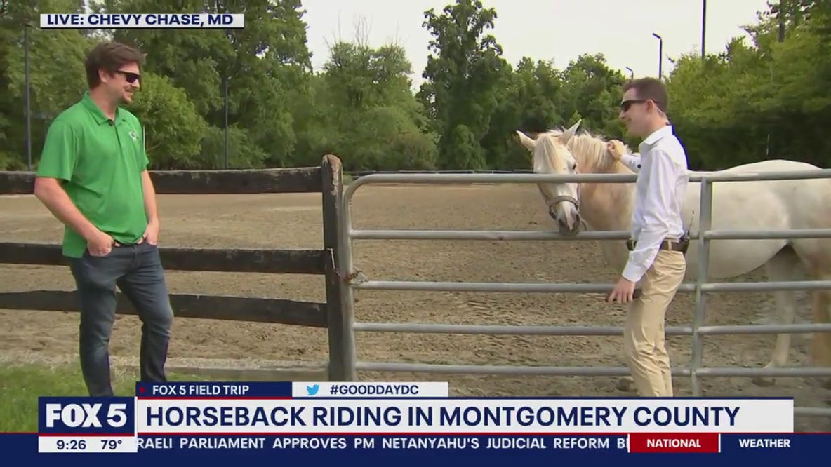 Horses and more at Meadowbrook Stables!